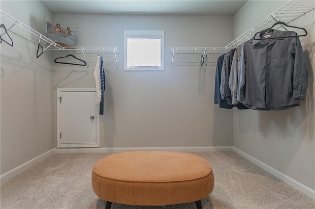 walk in closet with carpet floors