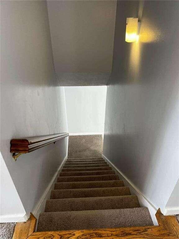 staircase featuring carpet