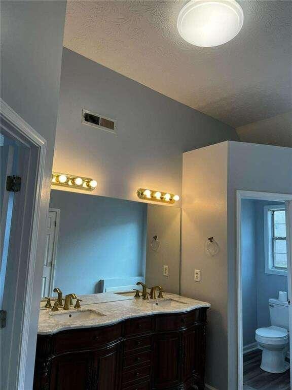 bathroom featuring hardwood / wood-style floors, vanity, a textured ceiling, and toilet