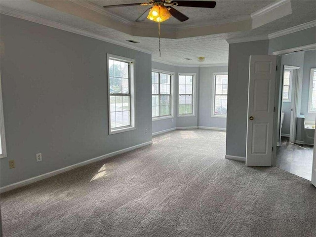 spare room featuring ceiling fan, a raised ceiling, carpet, and ornamental molding