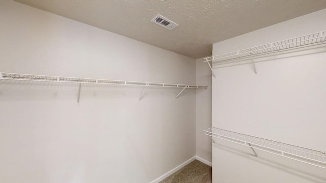 488 Barclay Ct, Stone Mountain, GA 30083 - spacious closet with carpet floors