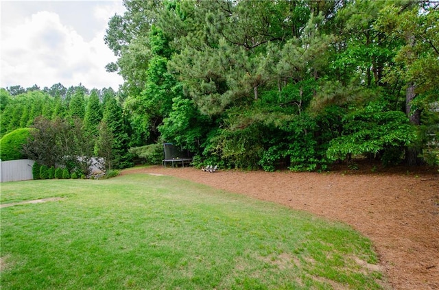 2535 Castlerock Ct, Cumming, GA 30041 - view of yard featuring a trampoline