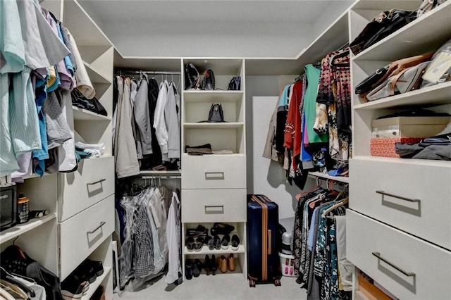 view of spacious closet