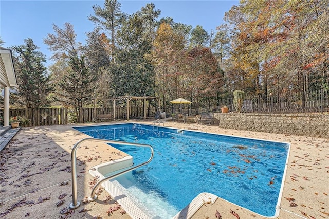 view of swimming pool with a patio area