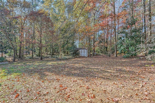 view of yard with a storage unit