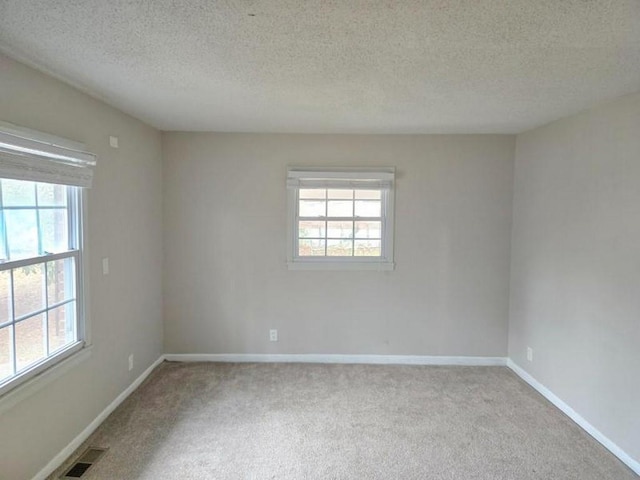 carpeted empty room featuring a textured ceiling and a healthy amount of sunlight