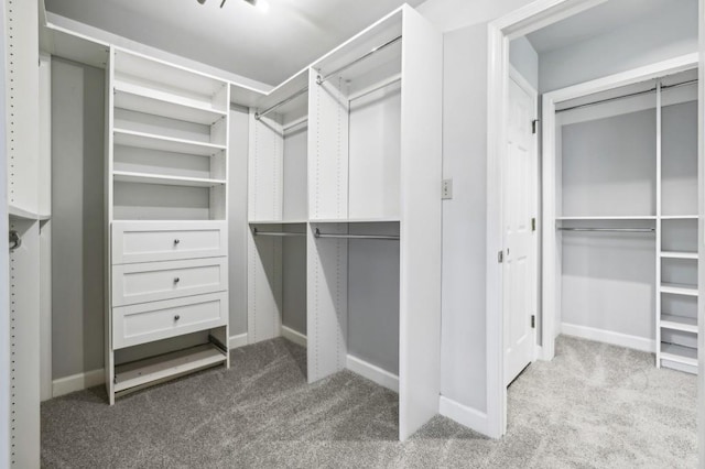 spacious closet featuring carpet
