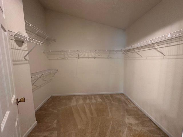 walk in closet with carpet flooring