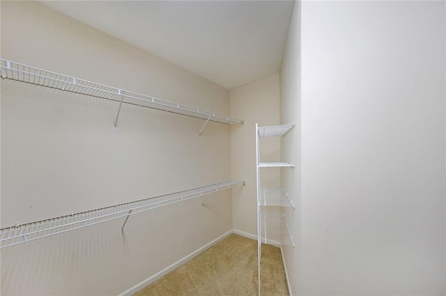 spacious closet featuring light colored carpet