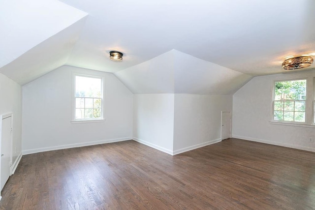 additional living space featuring baseboards, a wealth of natural light, lofted ceiling, and wood finished floors