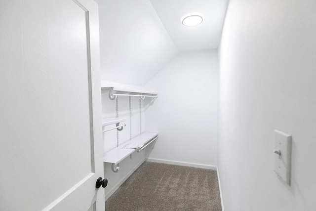 walk in closet featuring carpet flooring and lofted ceiling