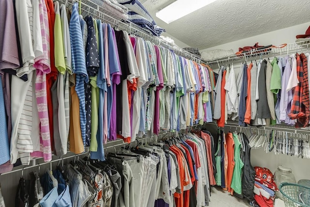 view of walk in closet