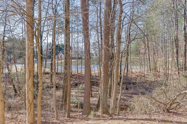 view of nature featuring a water view and a forest view