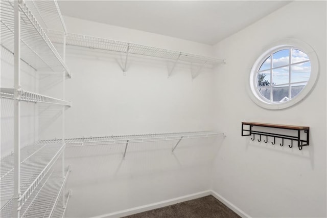 spacious closet featuring carpet floors