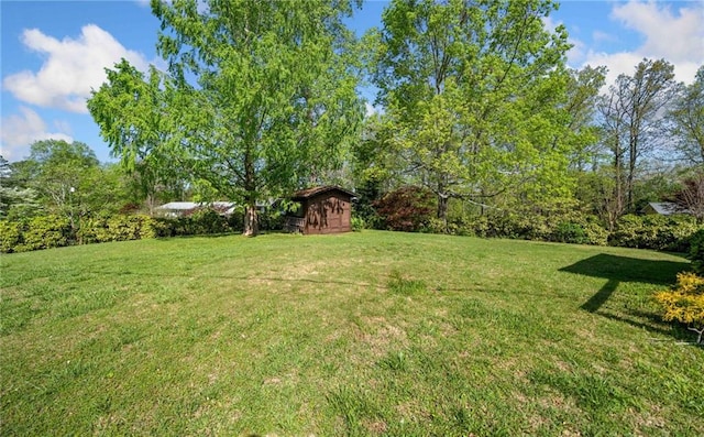view of yard with a storage shed and an outbuilding