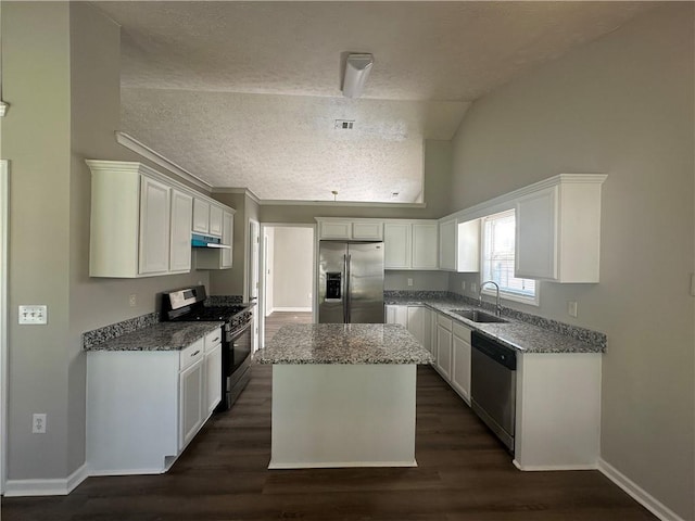 3718 Jackson Bluff Dr, Lawrenceville, GA 30044 - kitchen with stainless steel appliances, a textured ceiling, vaulted ceiling, under cabinet range hood, and stone countertops