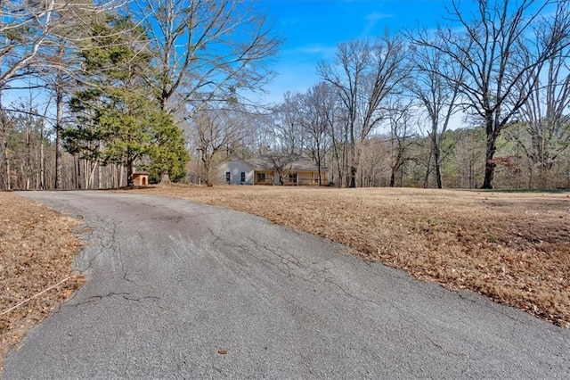 view of road with driveway