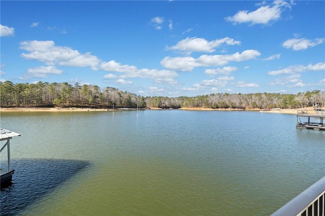 water view with a boat dock