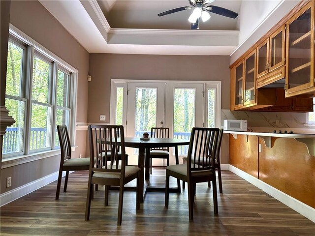 225 Austin Oaks Dr SE, Ellenwood, GA 30294 - dining area with a raised ceiling, dark wood-style floors, a ceiling fan, and plenty of natural light