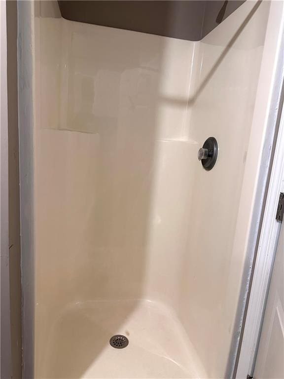 225 Austin Oaks Dr SE, Ellenwood, GA 30294 - bathroom featuring a shower stall