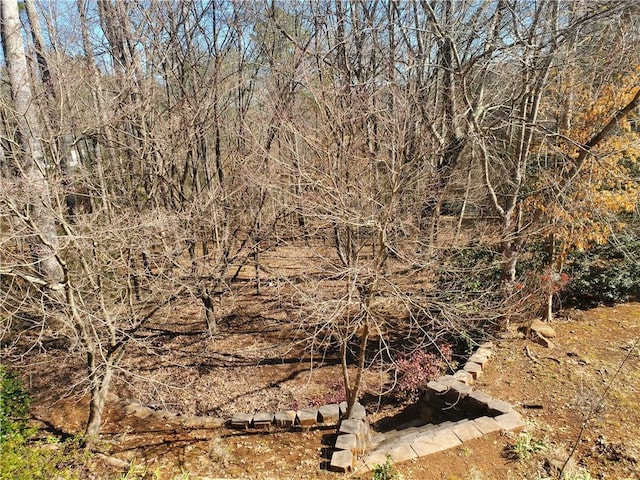 4217 Mill Grove Ln SW, Smyrna, GA 30082 - view of local wilderness