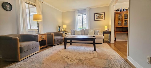 living room with a baseboard radiator, crown molding, baseboards, and wood finished floors