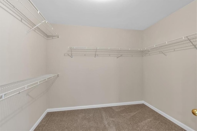 812 Roget Way, Lawrenceville, GA 30045 - walk in closet featuring carpet