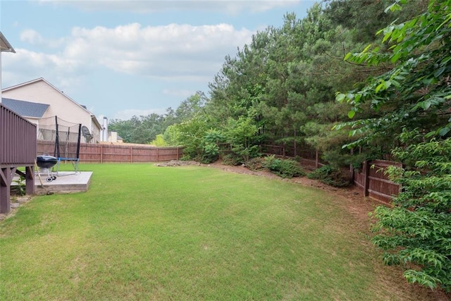 402 Homestead Dr, Dallas, GA 30157 - fenced backyard with a trampoline