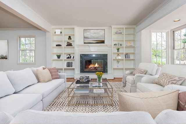 6795 Brandon Mill Rd, Atlanta, GA 30328 - living room featuring healthy amount of natural light, a high end fireplace, wood finished floors, and crown molding