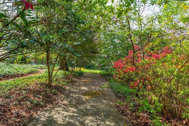6795 Brandon Mill Rd, Atlanta, GA 30328 - view of street
