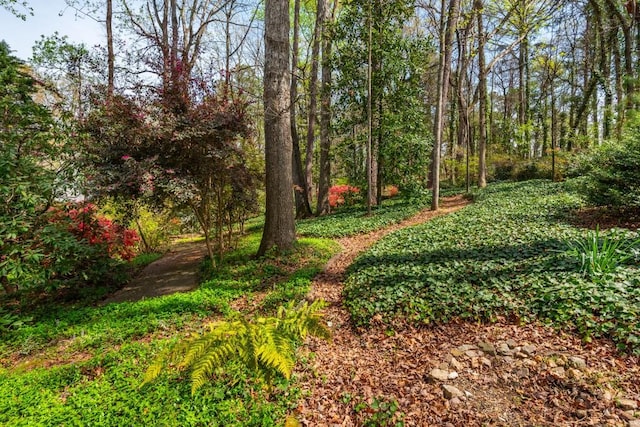6795 Brandon Mill Rd, Atlanta, GA 30328 - view of yard