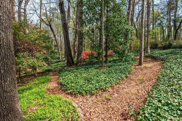 6795 Brandon Mill Rd, Atlanta, GA 30328 - view of yard featuring a view of trees