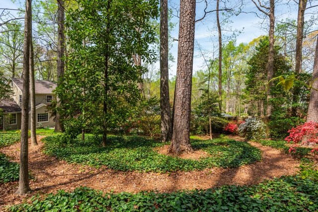 6795 Brandon Mill Rd, Atlanta, GA 30328 - view of yard