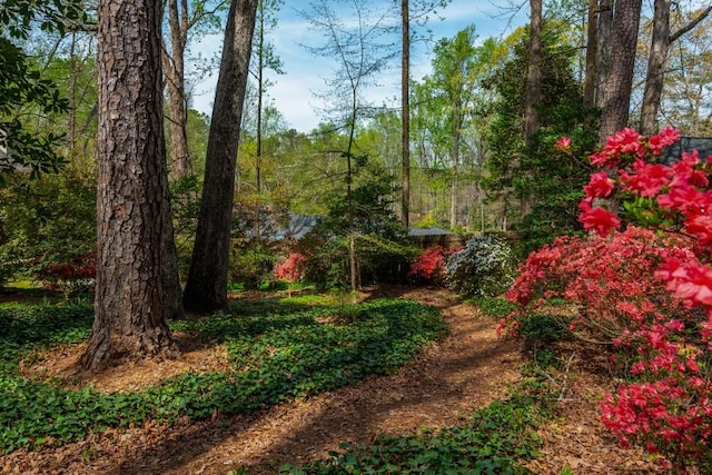 6795 Brandon Mill Rd, Atlanta, GA 30328 - view of yard