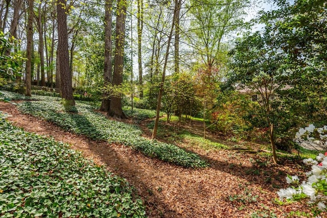 6795 Brandon Mill Rd, Atlanta, GA 30328 - view of yard