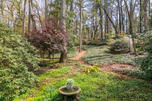 6795 Brandon Mill Rd, Atlanta, GA 30328 - view of yard with a wooded view