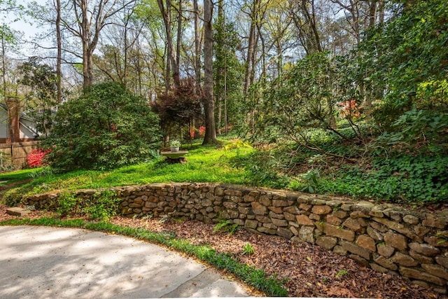 6795 Brandon Mill Rd, Atlanta, GA 30328 - view of yard with a patio area