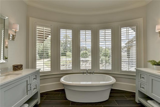 bathroom with plenty of natural light, a bathtub, and vanity