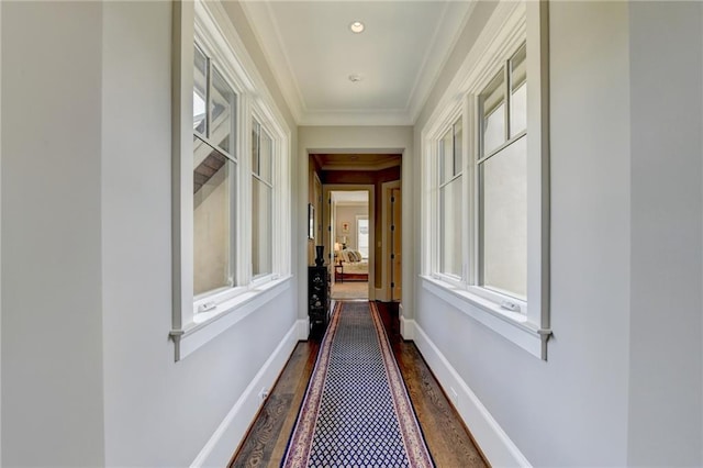 corridor featuring crown molding and dark wood-type flooring