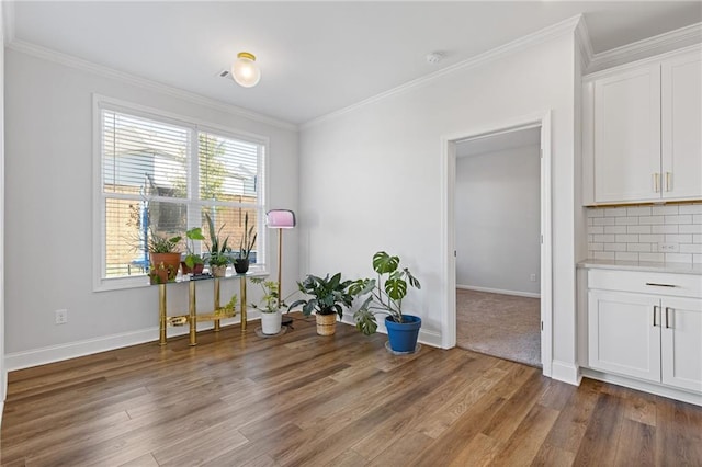 miscellaneous room with wood-type flooring and ornamental molding