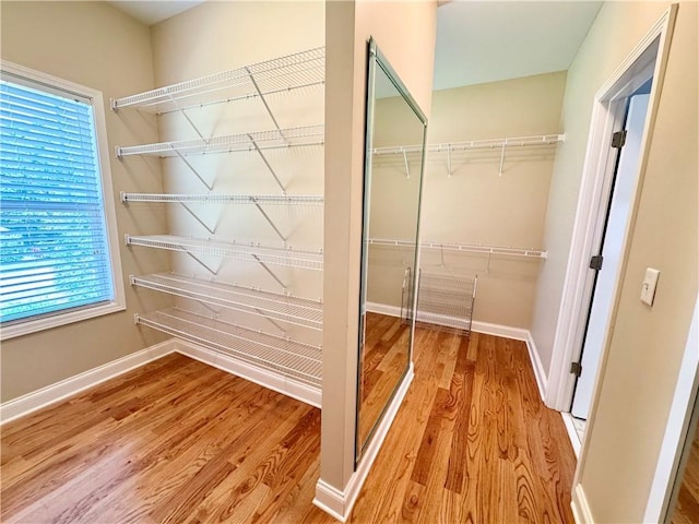 8967 Midlothian Ct, Winston, GA 30187 - spacious closet featuring light wood-style flooring