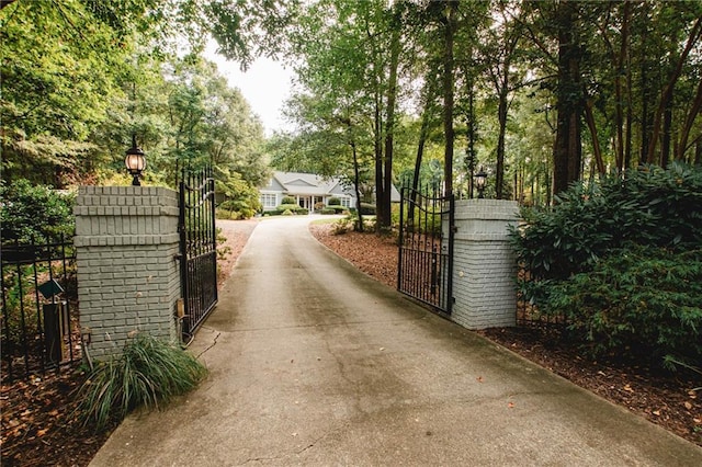 view of road featuring aphalt driveway, a gated entry, and a gate