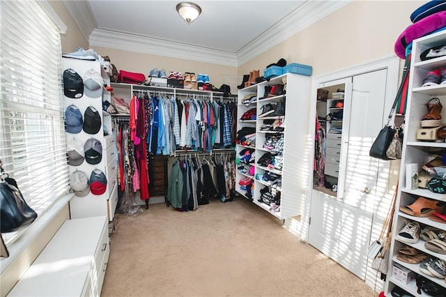 walk in closet with carpet floors