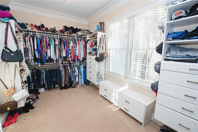 walk in closet featuring carpet flooring