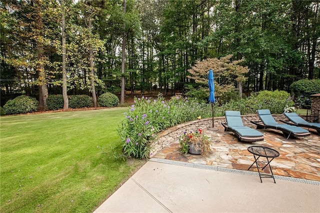 view of yard with a patio area