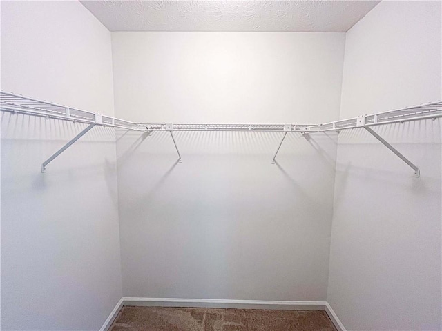 3150 Stratford Green Pl, Avondale Estates, GA 30002 - walk in closet featuring carpet floors