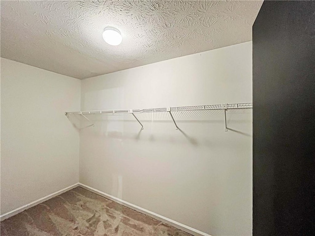 3150 Stratford Green Pl, Avondale Estates, GA 30002 - spacious closet with carpet flooring