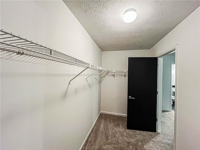 3150 Stratford Green Pl, Avondale Estates, GA 30002 - spacious closet featuring carpet