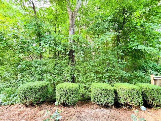 3150 Stratford Green Pl, Avondale Estates, GA 30002 - view of yard