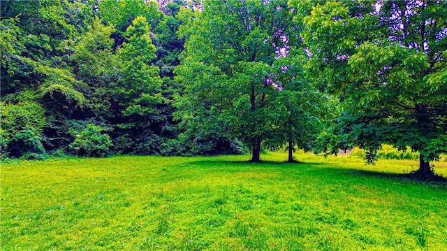 3150 Stratford Green Pl, Avondale Estates, GA 30002 - view of grassy yard